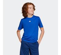 adidas Unisex Kinder Train Essentials Logo Regular Fit Junior Shirt, Royal Blue/White, 9-10 Years