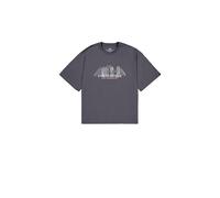 Alpha Industries T-Shirt Herren grau, XXL