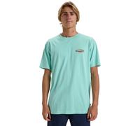 T-Shirt BILLABONG "Dreamy Place", Herren, Gr. XS, bermuda, Obermaterial: 100% Walkfrottier;, Shirts T-Shirt (17154629-XS)