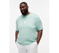 Tommy Hilfiger Herren Bt-Brand Love Mono Stack Tee-B MW0MW44053 S/S T-Shirt, Grün, 4XL