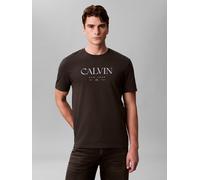 T-Shirt CALVIN KLEIN JEANS, Herren, Gr. M, braun (pirate schwarz), Web, Obermaterial: 100% Baumwolle, unifarben, regular fit normal, Rundhals, eingesetzt abgesteppte Kante, Shirts T-Shirt, Regular fit
