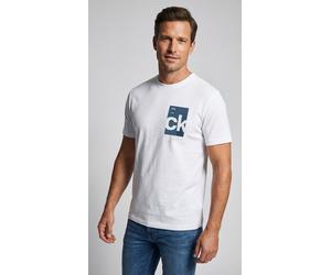 T-Shirt CALVIN KLEIN JEANS "SS 30s EU BH BOX GRAPHIC TEE", Herren, Gr. M, weiß (brilliant weiß), Single Jersey, Obermaterial: 100% Baumwolle, unifarben, normal hüftlang, Rundhals, Shirts T-Shirt, mit