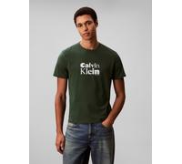 T-Shirt CALVIN KLEIN "SS 30S EU CALVIN KLEIN BOLD GRAP", Damen, Gr. L, sycamore, Web, Obermaterial: 100% Baumwolle, unifarben, regular fit normal, Rundhals, eingesetzt abgesteppte Kante, Shirts T-Shir