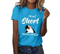 T-Shirt Damen Sommer Kurzarm Oberteile Rundhals Casual Loose Fit Shirts Basic Einfarbig Tee Tops Blusen Sportshirt Damen Locker Leichte Sommerblusen Damen Sexy Tops Damen Gym Kleidung Damen