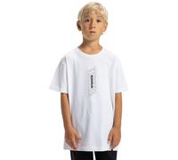 T-Shirt DC SHOES "DC Omega", Jungen, Gr. 14(155-164cm), weiß, Obermaterial: 75% Walkfrottier, 25% Walkfrottier;, Shirts T-Shirt (85787836-14) weiß