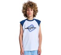 T-Shirt DC SHOES "DC Raglan", Jungen, Gr. 16(165-172cm), weiß, Obermaterial: 75% Baumwolle, 25% Baumwolle., Shirts T-Shirt (74822348-16) weiß