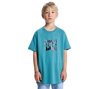 T-Shirt DC SHOES "DC Star Filled", Jungen, Gr. 12(148-156cm), blau (storm blau), Obermaterial: 75% Baumwolle, 25% Baumwolle., Shirts T-Shirt (21179206-12) storm blau