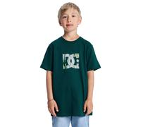 T-Shirt DC SHOES "DC Star Filled", Jungen, Gr. 16(165-172cm), grün (ponderosa pine), Obermaterial: 75% Baumwolle, 25% Baumwolle., Shirts T-Shirt (50144736-16) ponderosa pine