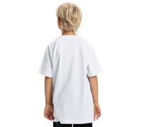 T-Shirt DC SHOES "DC Star Filled", Jungen, Gr. 16(165-172cm), weiß, Obermaterial: 75% Walkfrottier, 25% Walkfrottier;, Shirts T-Shirt (44913709-16) weiß