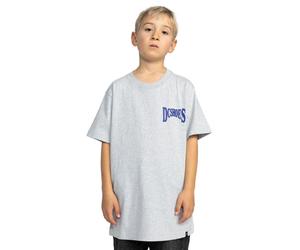 T-Shirt DC SHOES "Members Only", Kinder, Gr. 12(148-156cm), grau (light erdgrau), Obermaterial: 75% Walkfrottier, 25% Walkfrottier;, Shirts T-Shirt (52876932-12)