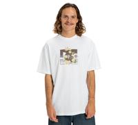 T-Shirt DC SHOES "Rose And Thorn Star", Herren, Gr. L, weiß, 75% Baumwolle, 25% Baumwolle, Shirts T-Shirt (28422508-L) weiß