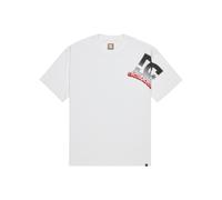 T-Shirt DC SHOES "Solid Lefty", Herren, Gr. L, weiß, 75% Baumwolle, 25% Baumwolle, Shirts T-Shirt (45795540-L) weiß