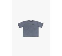 T-Shirt DROPSIZE "Dropsize HEAVY OVERSIZE DOUBLE ARM T-SHIRT", Damen, Gr. XS, acid grau, 100% Baumwolle, unifarben, oversize, Rundhals, Shirts T-Shirt (10581058-XS) acid grau