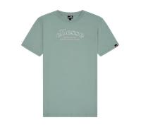 T-Shirt ELLESSE, Herren, Gr. L, grün, Obermaterial: 100% Baumwolle, Rundhals, Shirts T-Shirt, sportlicher Stil, für Freizeit und Alltag, aus Baumwolle (71678146-L) grün