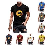 T Shirt Herren Rundhals Sunset Coconut Druck Kurzarm Slim Fit Tactical Shirts Sport Tshirts Freizeitshirt Retro Y2K Tops Kompressionsshirt Tactical Shirts