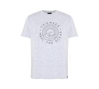 Print-Shirt CHIEMSEE, Jungen, Gr. L (52/54), grau (high, rise), 95% Baumwolle, 5% Viskose, Rundhals, Shirts (31898603-L) high, rise