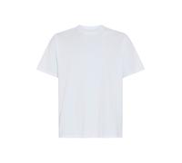 T-Shirt LEVI'S PLUS "LSE B&T BIG GRAPHIC TEE", Herren, Gr. 4XL (72/74), levi's american legend 6 weiß plus body, Jersey, Obermaterial: 100% Baumwolle, unifarben, regular fit normal, Rundhals, Shirts T
