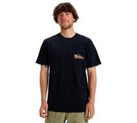 T-Shirt QUIKSILVER "Ev Everyday Paradise", Herren, Gr. S, schwarz, Obermaterial: 100% Baumwolle., Shirts T-Shirt (36177438-S) schwarz