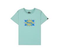 T-Shirt QUIKSILVER "Ev Starfish Stamp", Jungen, Gr. 4(101-108cm), blau haze, Obermaterial: 70% Baumwolle, 30% Baumwolle., Shirts T-Shirt (83255014-4) blau haze