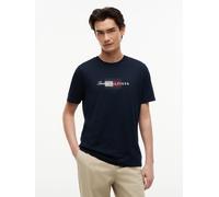 T-Shirt TOMMY HILFIGER "SCRIPT FLAG REGULAR TEE", Herren, Gr. XXL, desert sky, Single Jersey, Obermaterial: 100% Baumwolle, regular fit normal, Rundhals, Shirts T-Shirt, aus Jersey mit Flag-Grafik (50