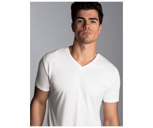 T-Shirt TRIGEMA "TRIGEMA V-Shirt aus 100% Lyocell", Herren, Gr. L, weiß, Single Jersey, 100% Lyocell, Basic, lang, V-Ausschnitt, Shirts T-Shirt (88802536-L) weiß