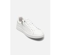 Tamaris Damen Low-Top Sneaker, Frauen Sneaker,Wechselfußbett,Comfort Lining,Grey,Gruen,komfortable,laessig,langlebig,leger,Nude,White,36 EU