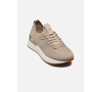 Tamaris Damen Low-Top Sneaker, Frauen Sneaker,Wechselfußbett,weiblich,Lady,Ladies,Women's,Woman,Halbschuhe,Sportschuhe,Ivory METALLIC,40 EU