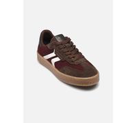 lacets MERLOT COMB - Gr. - 39