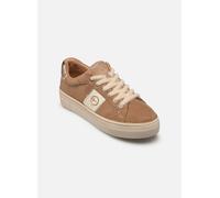 Tamaris - 23724-42 - Braun - Sneaker - Größe 39