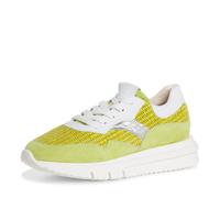 Tamaris 23785-42 Lime (Grün) (gelb) - sportlicher Schnürschuh - Damenschuhe Sneaker, Gelb, leder/textil/synthetik für Damen, grün, Größe 37 EU