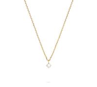 Tamaris Necklace - Halsketten mit funkelndem Anhänger aus Edelstahl - IP Gold - Ankerkette verstellbar bis 43 cm - wasserfest & hautfreundlich