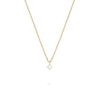 Tamaris Necklace - Halsketten mit funkelndem Anhänger aus Edelstahl - IP Gold - Ankerkette verstellbar bis 43 cm - wasserfest & hautfreundlich