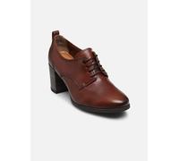 Women Lace-up - Größe - 38