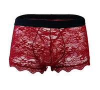 Tanga Bikini Slips Sexy Boxershorts Mesh Erotische Slips Netz Transparent Thong Herren Sissy Dessous Sexy Spitzenunterwäsche für Männer Unterhosen Transparent mit Bulge Briefs Wetlook Herren Slips