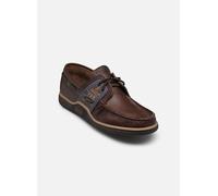 TBS - Schnürschuhe Globek - Braun - Größe 42