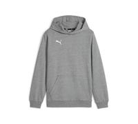 teamGOAL Casuals Hoodie Jr Grau - 164 / Grau