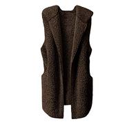 Teddy Jacken für Damen Plüschjacke Damen Teddy Weste Lang Winterjacke Ärmellos Cardigan mit Kapuze Herbst Winter Warm Teddyweste Plüsch Mantel Elegance Freizeit Damenwesten Jacke
