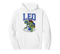 Teenage Mutant Ninja Turtles Solo Leonardo Pullover Hoodie