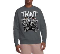 Teenage Mutant Ninja Turtles Unisex TMNT Team Crew Sweatshirt, anthrazit, XL