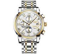 TEINTOP Multifunktionsuhren Herren Automatik Uhr Mechanische Edelstahl Armbanduhren (Gold Schwarz)