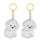 TEMOOUES 1. 2/3/4/5/10pcs Klarer PET Memorial Schlüsselbund Mit Speicherfach Für Katzen Hunde Liebhaber Sympathie Anhänger Pet Memorial Keepsakes Für Schlüssel