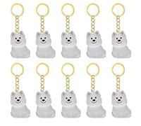 TEMOOUES 1. 2/3/4/5/10pcs Klarer PET Memorial Schlüsselbund Mit Speicherfach Für Katzen Hunde Liebhaber Sympathie Anhänger Pet Memorial Keepsakes Für Schlüssel