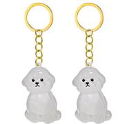 TEMOOUES 1. 2/3/4/5/10pcs Klarer PET Memorial Schlüsselbund Mit Speicherfach Für Katzen Hunde Liebhaber Sympathie Anhänger Pet Memorial Keepsakes Für Schlüssel