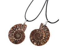 Tesselite Natürliche fossile Schnecke, unregelmäßige Spiralanhänger-Halskette, Original-Stein-Erz-Mineralprobe, Unisex-Schmuck für den Alltag, wie abgebildet, Einheitsgröße