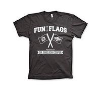 The Big Bang Theory - T-Shirt Fun With Flags XL - Hybris - Gris DarkGrey