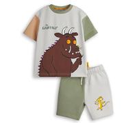 The Gruffalo T-Shirt und Shorts-Set für Jungen | Kurzarm-Grafik-T-Shirt für Kinder mit Farbblockierung und passender Hose | Mouse Fairytale Julia Donaldson Buchbekleidung Outfit