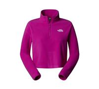 THE North FACE Damen W 100 Glacier Cropped 1/4 Zip Sweatshirt