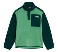 The North Face - Kid's Teen Yumiori 1/4 Zip Jacket - Fleecepullover, Gr. 158-164 XL, grün/türkis (DimmedAlgae/HunterGreen)