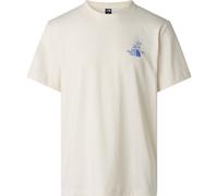 The North Face Mens Mountain Celebration Regular Short SLE white dune (QLI) XS