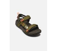 THE NORTH FACE Sandalen M EXPLORE CAMP SANDAL (NF0A8A8X) 45 ½ FOREST OLIVE/NEW TAUPE